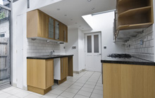 Stanley Green kitchen extension leads